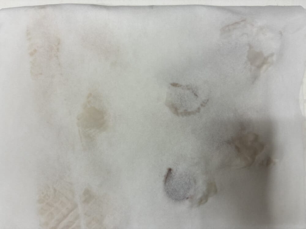 油はね防止の最重要工程として、湯通ししたイカをペーパータオルで上下から挟んで水分をこれでもかと徹底的にふき取っている様子